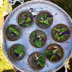 Herbstliches Wurzelwandern