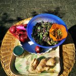 Herbstliches Wurzelwandern