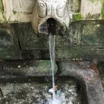 Sommerausklang am Pilion